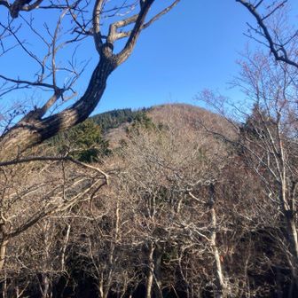これから向かう権現山。
