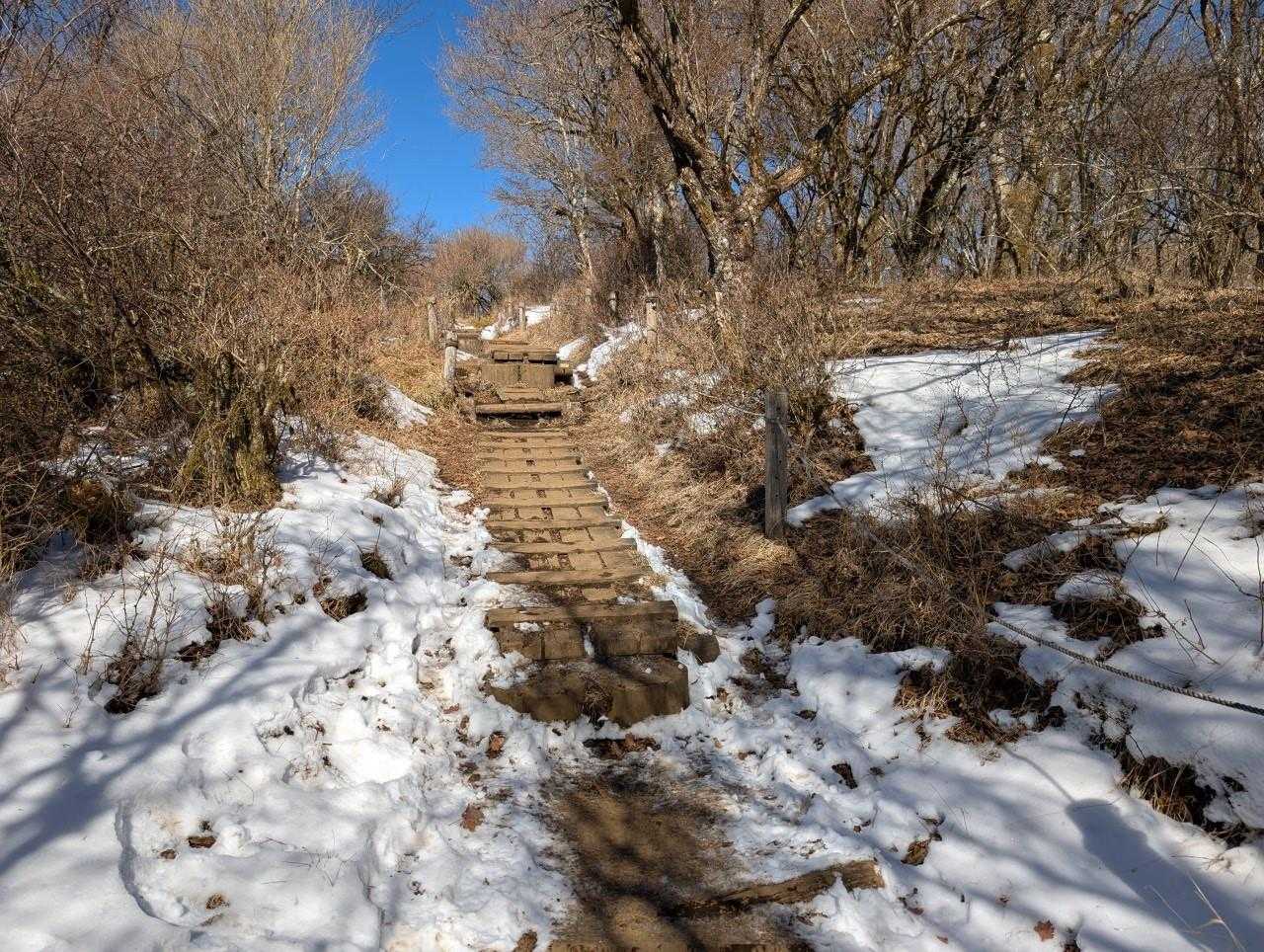 ちょっと雪はありますがアイゼンとかは不要でした