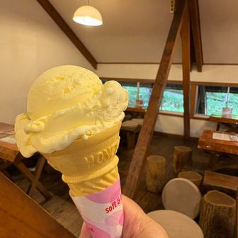 牧場ソフトクリームは美味しいですね