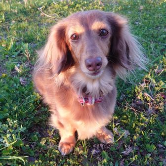 Pakkun🚶 & もんちむ🐒