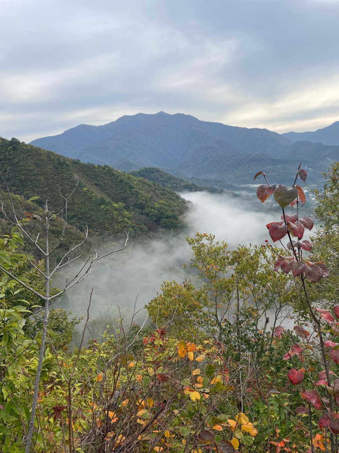 八木ヶ鼻-三角山-袴腰山 往復コースの写真