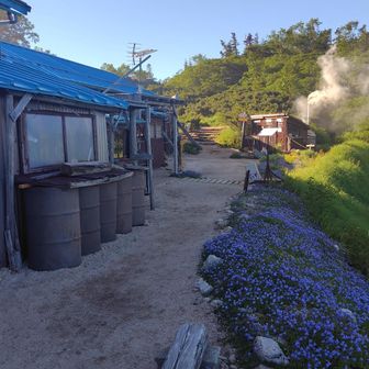 お花が綺麗でした