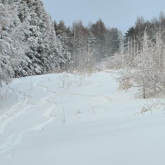 マイシュプール⛷️

まだ所々下草の感触を感じました。