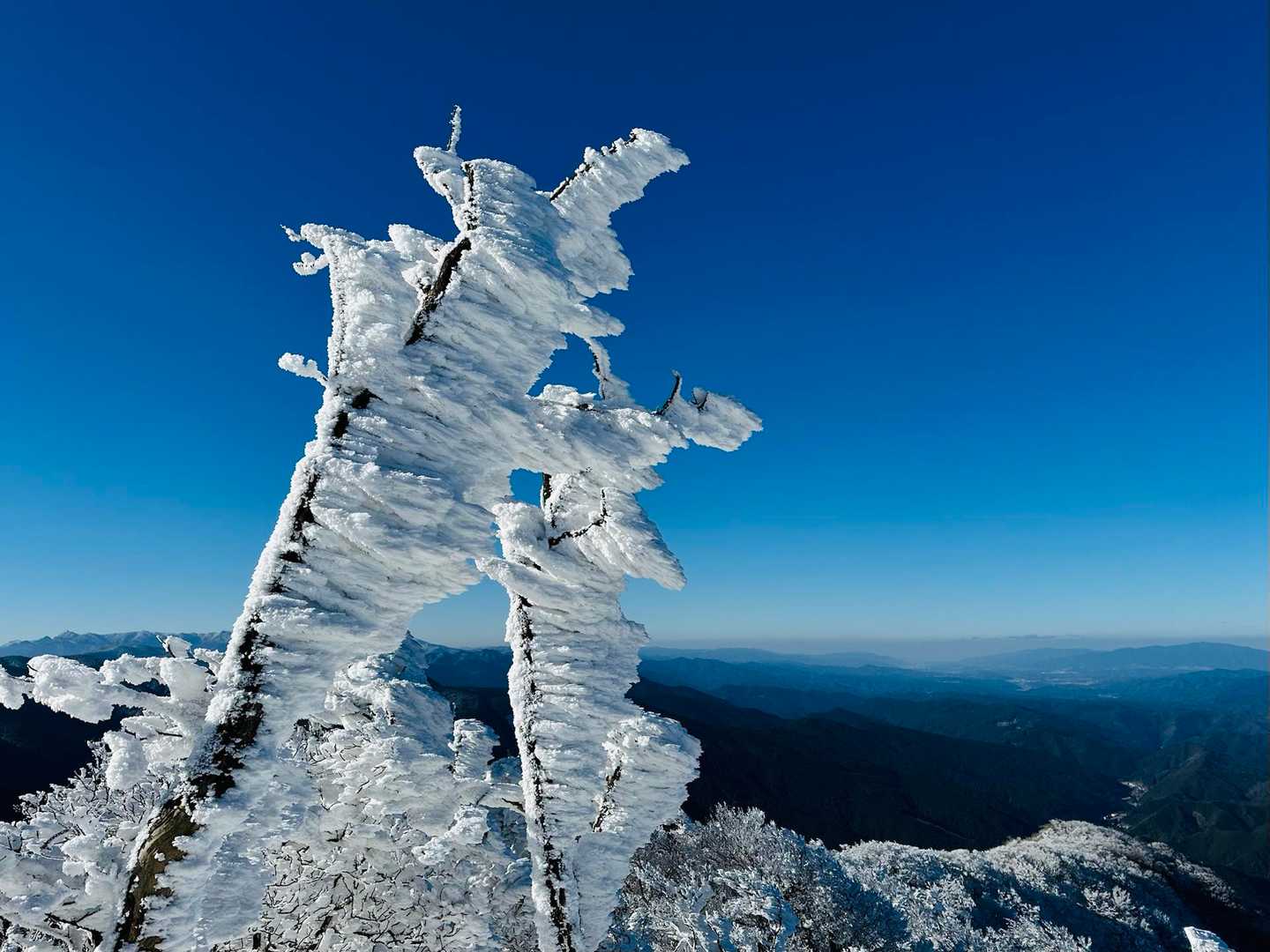 高見峠-高見山 往復コースの写真