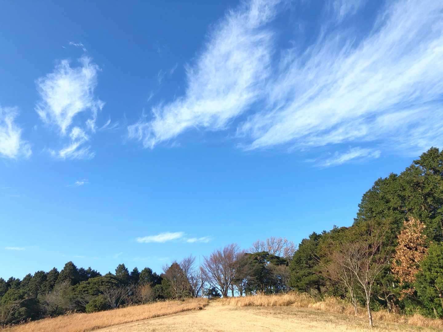 千畳敷
ポカポカ日和にキレイな青空
ベンチに座ってボーっと長居しちゃいました♡
まったりの〜んびり、今年もマイペースに楽しみます〜♡