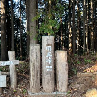 いつもの
