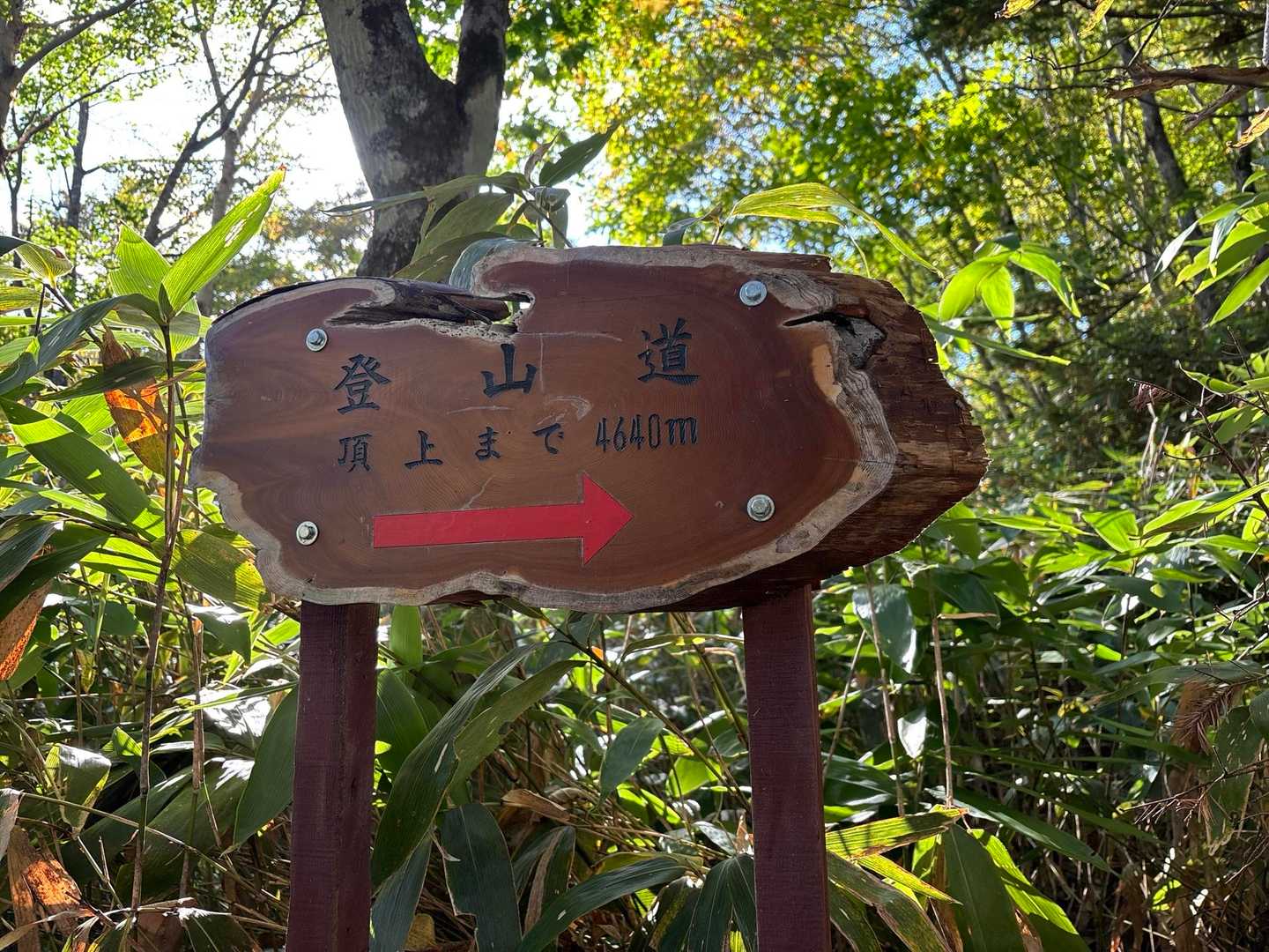 カニカン岳 往復コースの写真