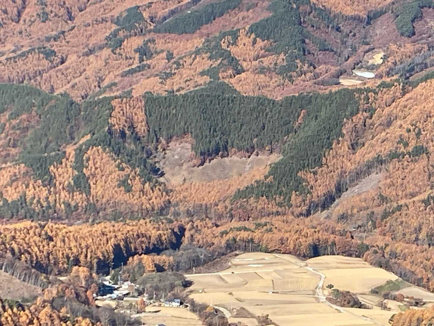 ハートに刈り取られてる！