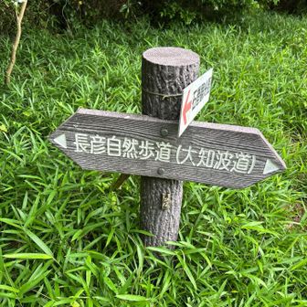 長彦で帰ります