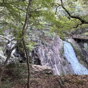 大岩を中心に
右側が百雷の滝だろうか？
左側も起伏のある岩にそって流れている