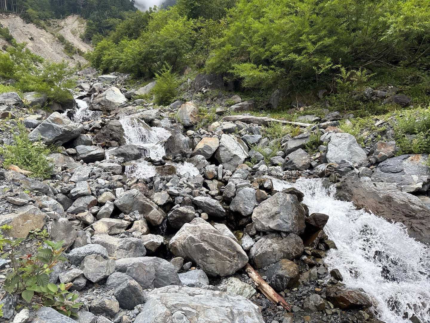 長〜い下山道の途中で沢の水をガブガブ
ワタクシ達浄水しませんの