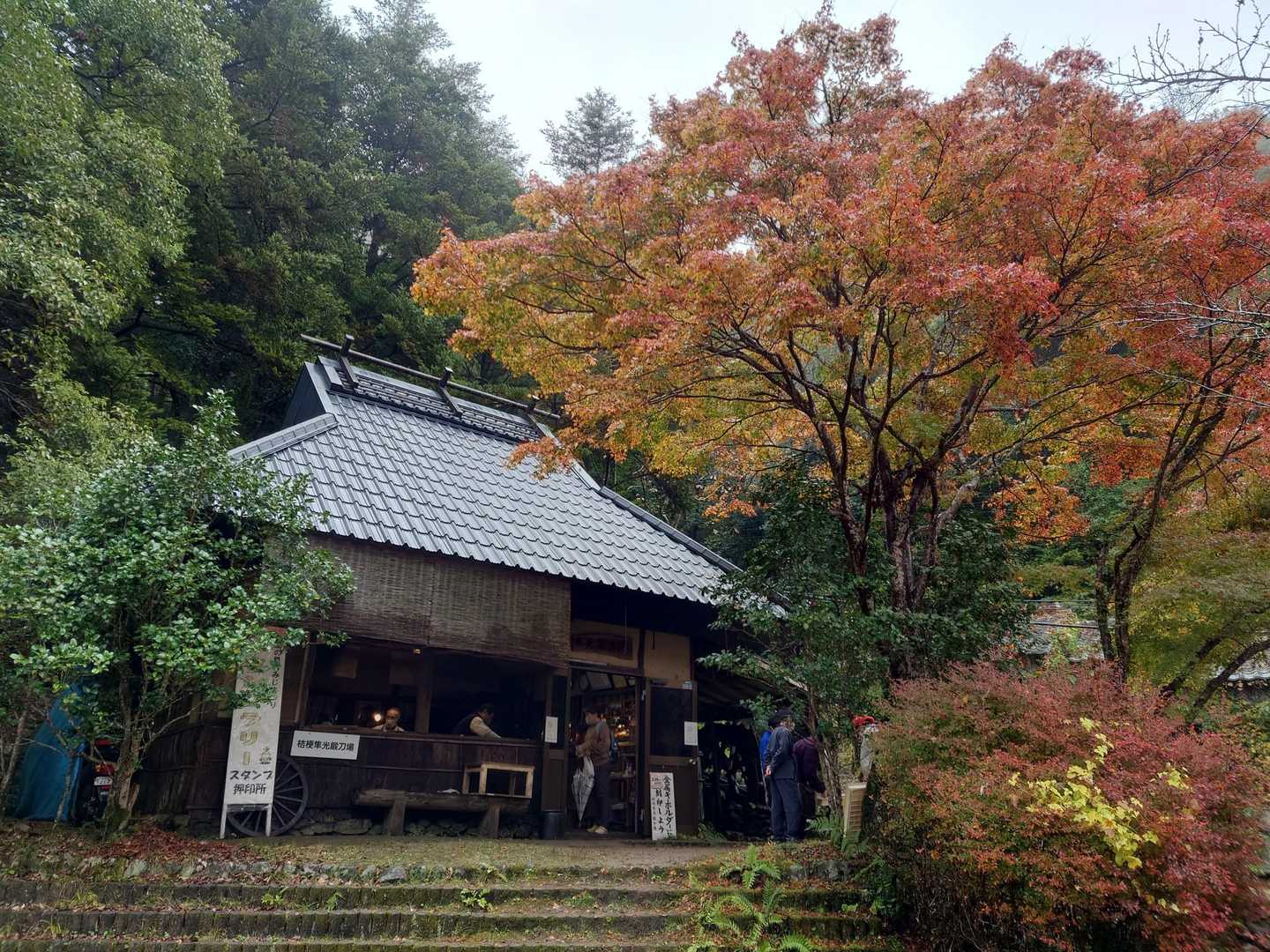 お店