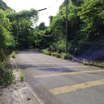 降りてきました
