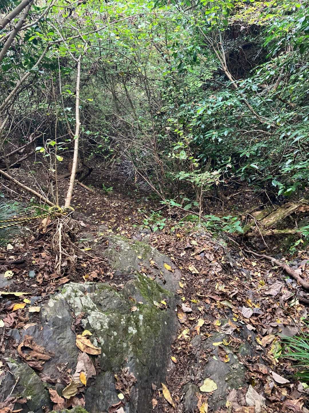 急な下りや道が荒れていて、コースが分かりずらい。ヤマップのフィールドメモや報告メモがとても参考になり助かった。自分も迷った時は記録に残して誰かの役にたてたらと思いました😊