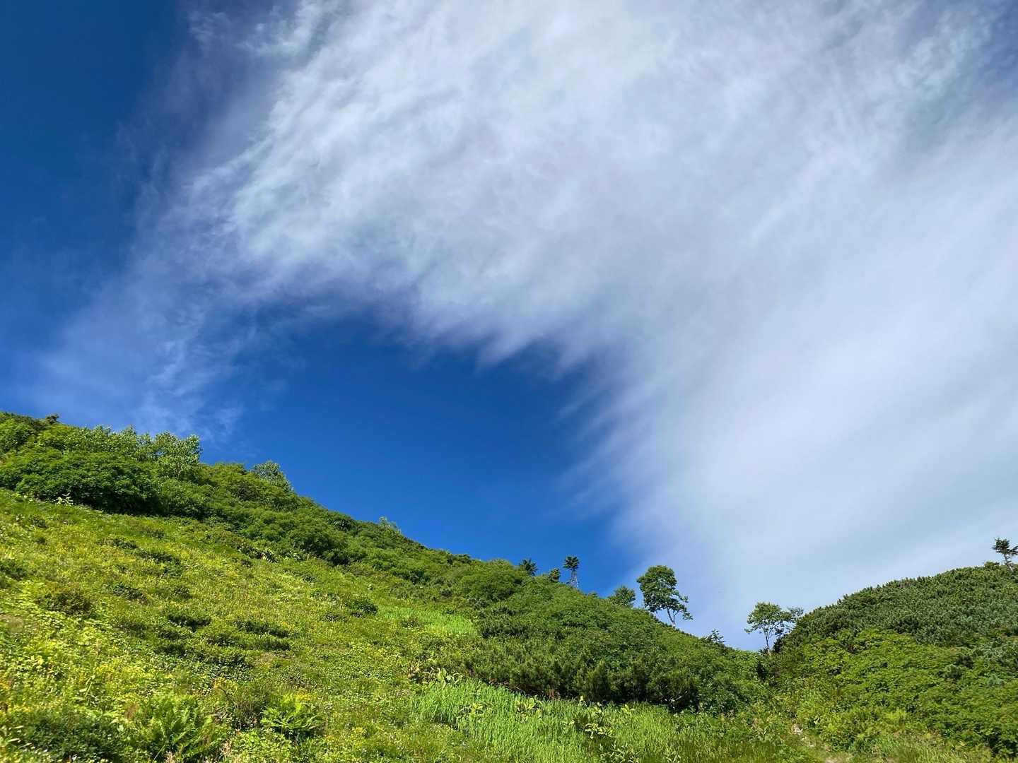 三股登山口-蝶槍 往復コースの写真