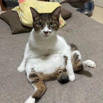 ひろみ