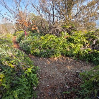 今日も間違えて👈️へ
すぐ気付いてよかった