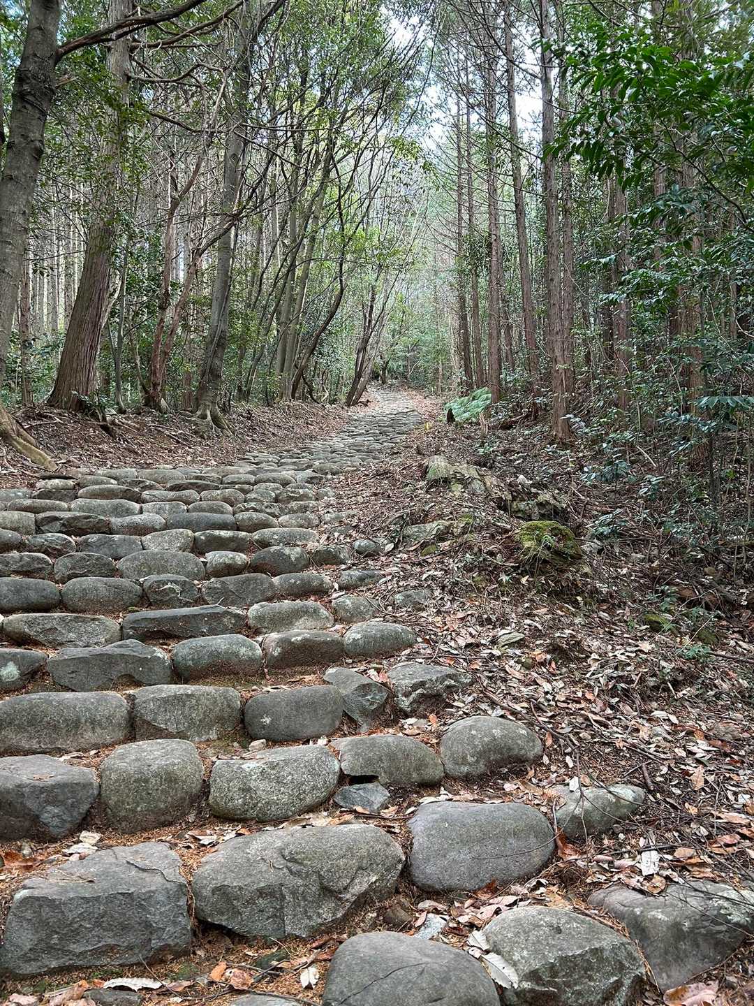 綺麗な石段が400段ほど続きます⤴️
岐阜の熊野古道と呼ばれてるのに納得🌿