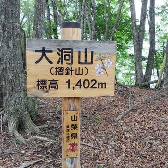 大洞山(摺針山）。ベンチあり