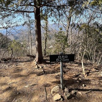 ピークは眺望あまりないところが多いかな