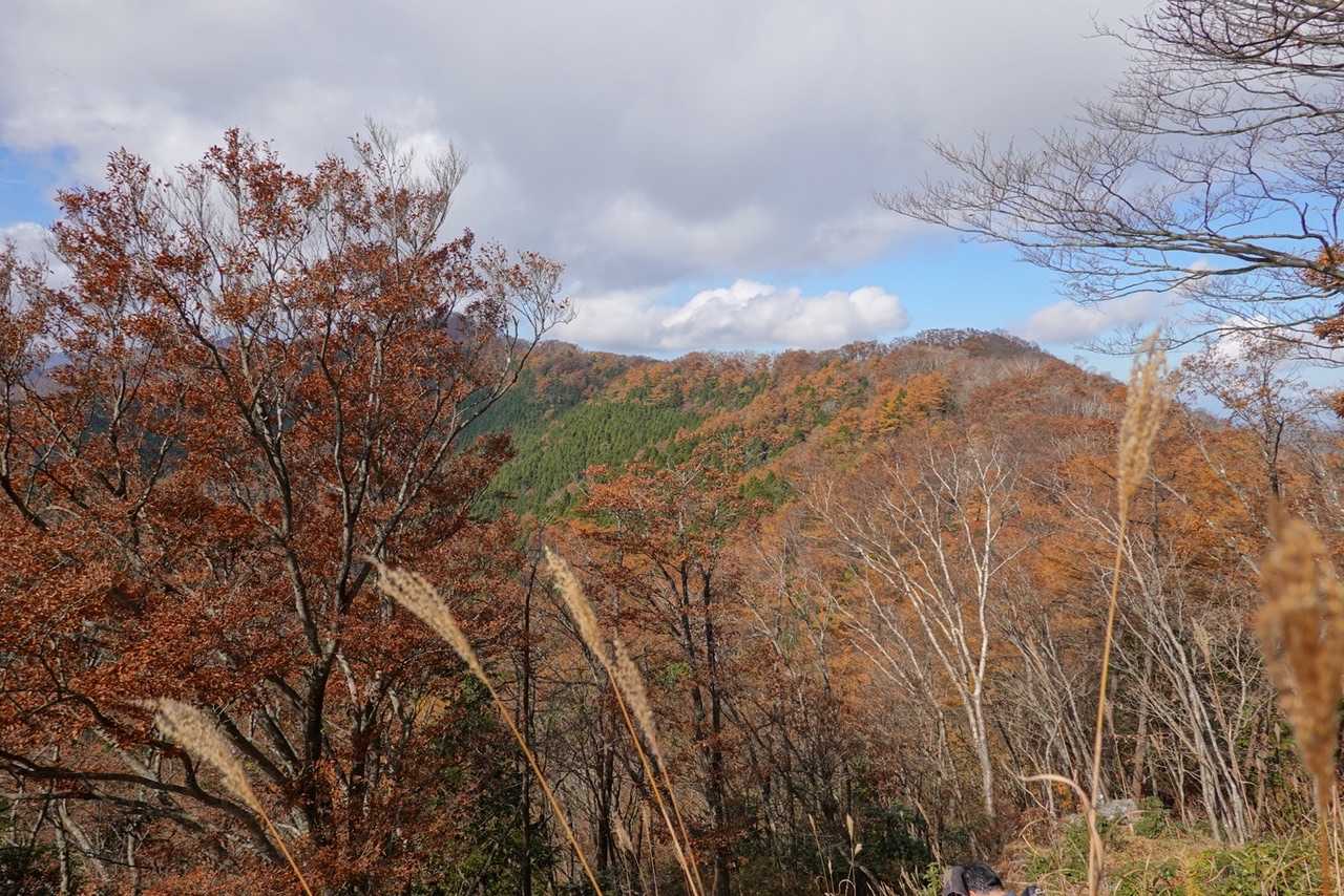 この辺りは良いお昼スポットです。