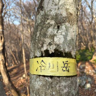 本日二座目、冷川岳