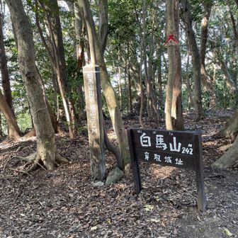 白馬山頂、景色なし