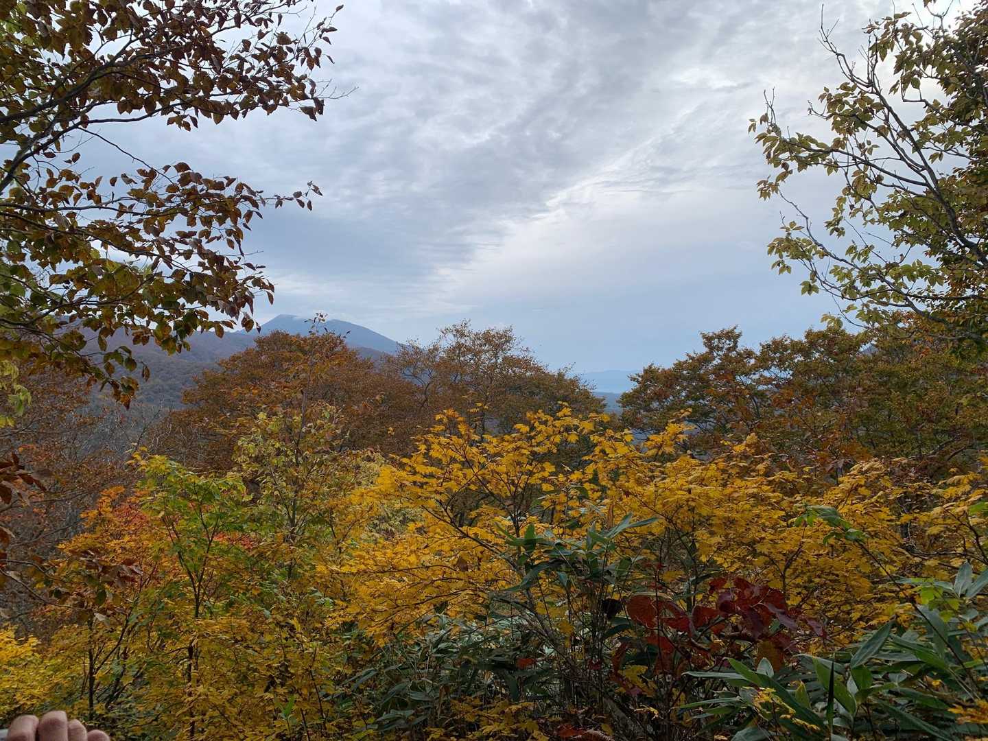 烏帽子岳登山口-烏帽子岳 往復コースの写真