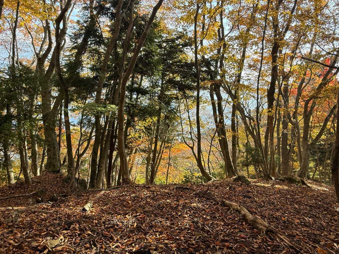 身延山周回 | 日蓮宗総本山の聖地。往時の参道を行けば富士山・南アルプスの眺望の写真