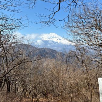 こちらになります