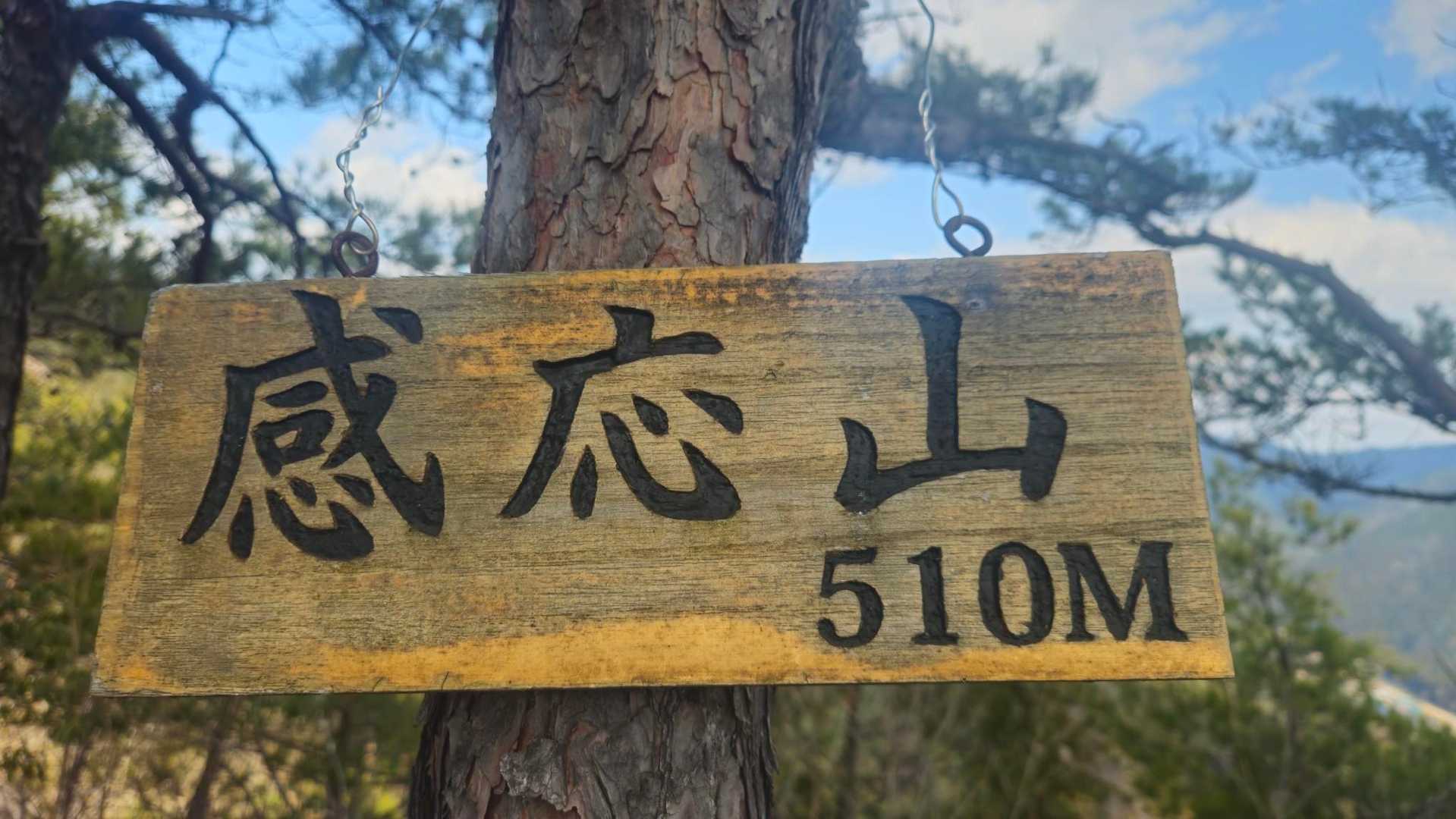ここ山頂Get