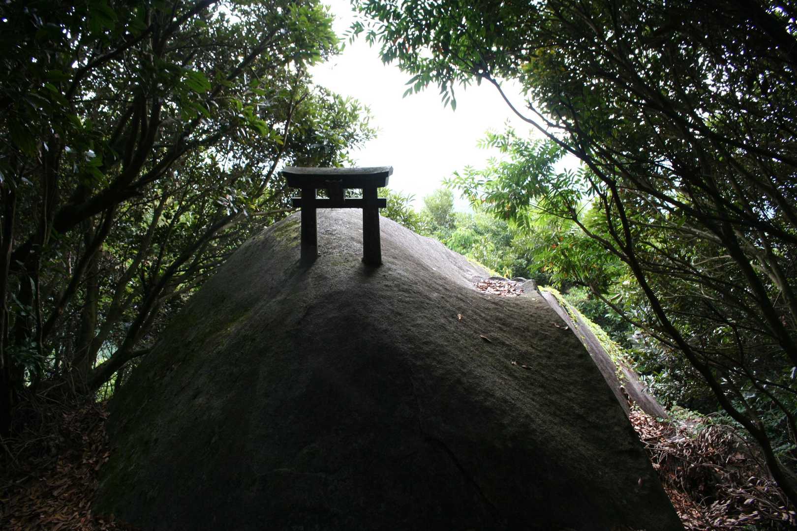 山頂の直下にある鳥居