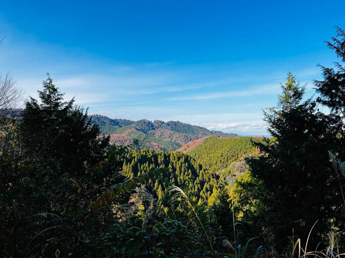 高尾山口駅-泰光寺山 周回コースの写真