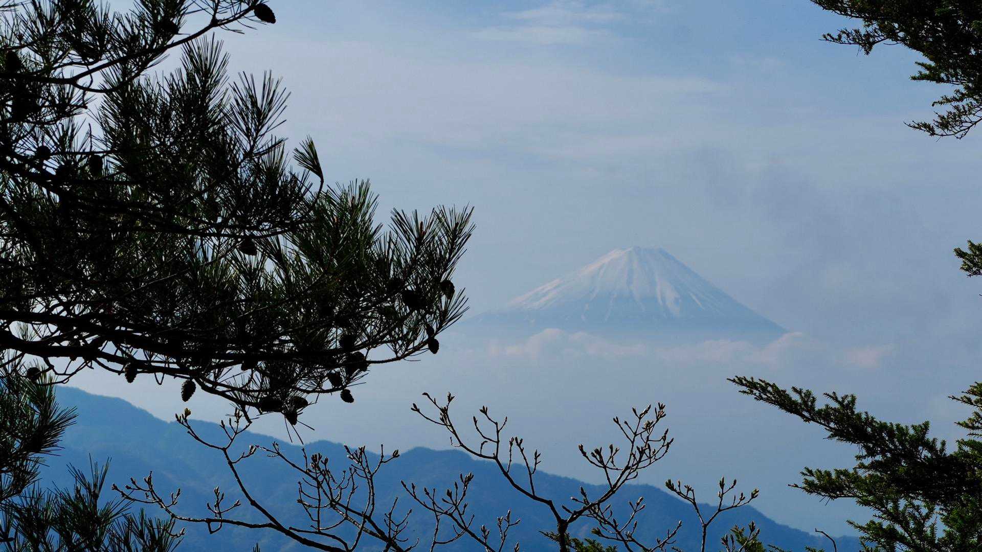 気の合間から見えました