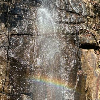 2本あるのわかります？🌈👏
ここも貸し切り！癒されるね🐈‍⬛
