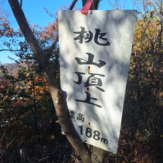 桃山山頂
ここまで急だったような