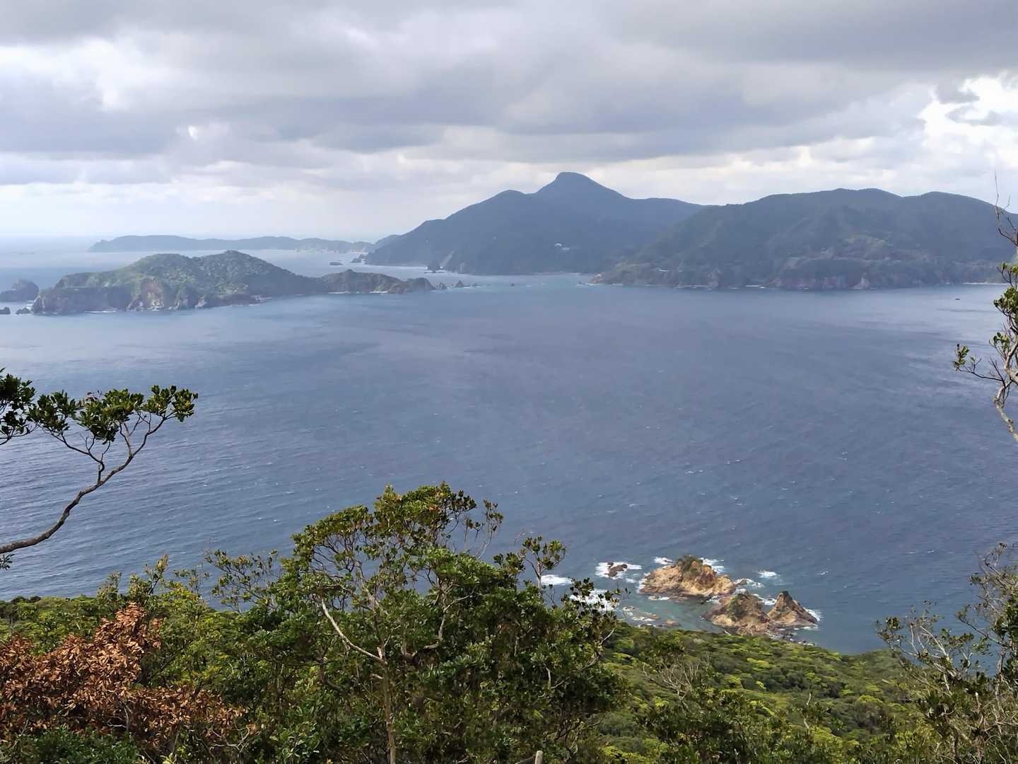 真下に赤崎👀