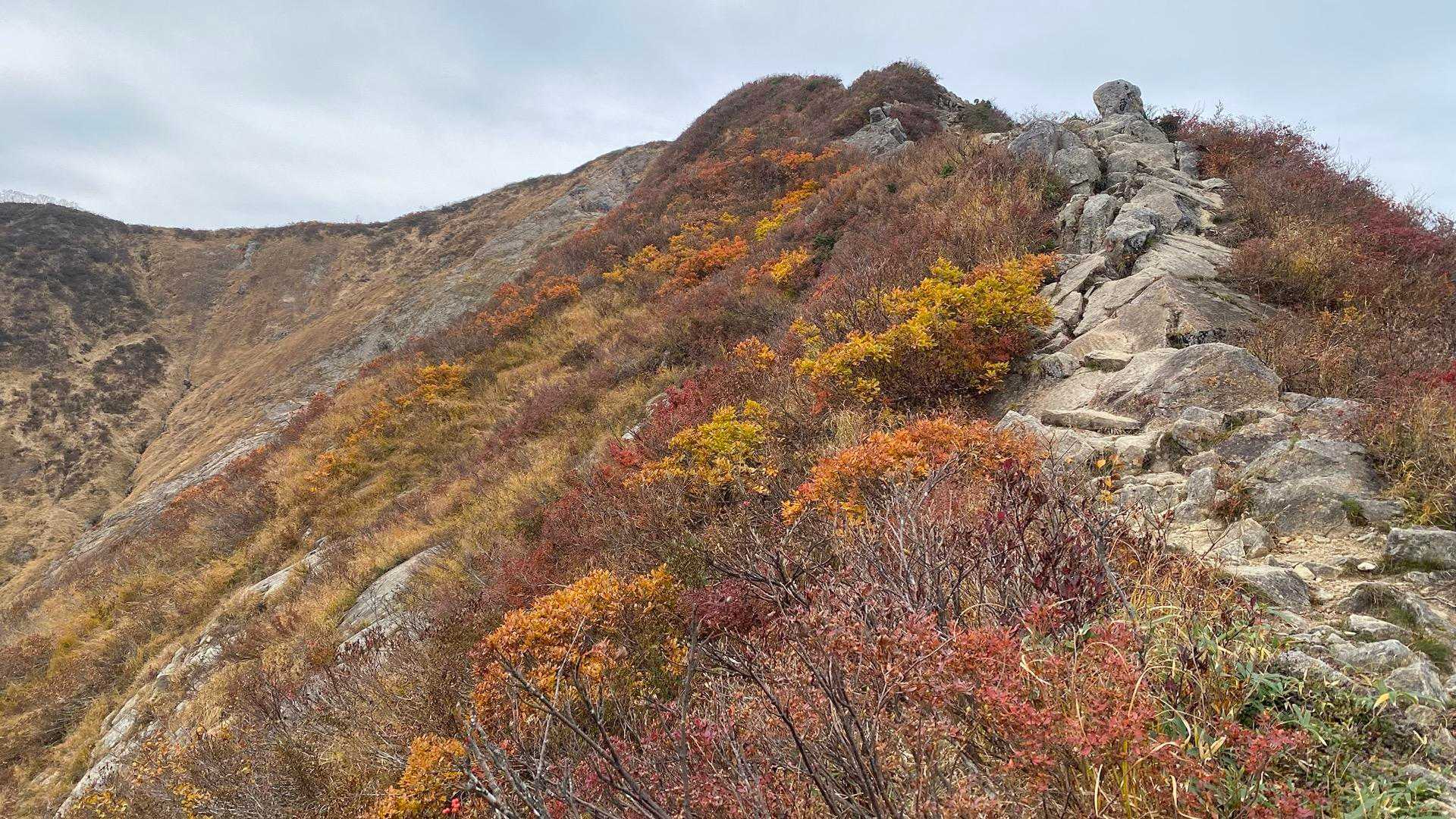 御沢登山口-横峰-剣ヶ峰-草履塚-飯豊山神社-飯豊山-駒形 往復コースの写真