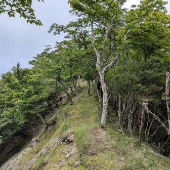 良い稜線歩きだ…
昔は、皆愉しんでいたのだろう…
鞍ヶ戸…何処でも気をつければ
正直、問題無いのですが…
気を抜いてはイケません😐
しかし…昭和、平成初期の
ハイカーさんはそんなに
気合い入ってたのかな…
山々でスパスパタバコ吸う
モラリティやぞ😶