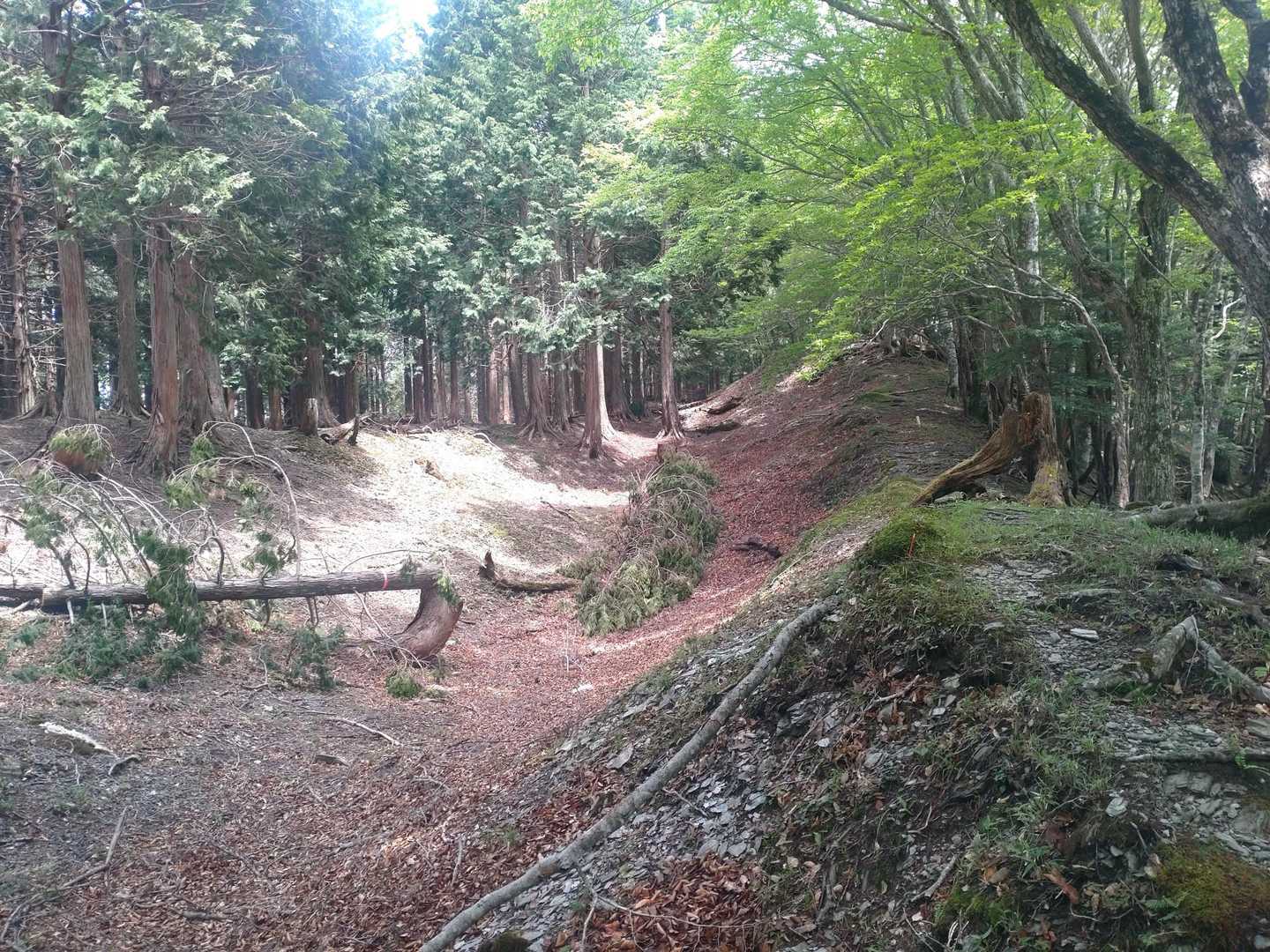 帰りも気になる、横堀みたいなの