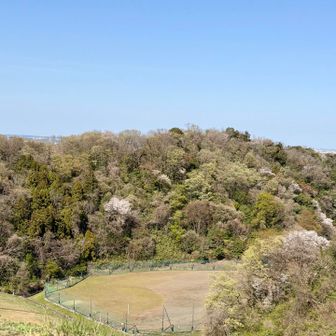 柔らかく優しい色彩に癒されます。