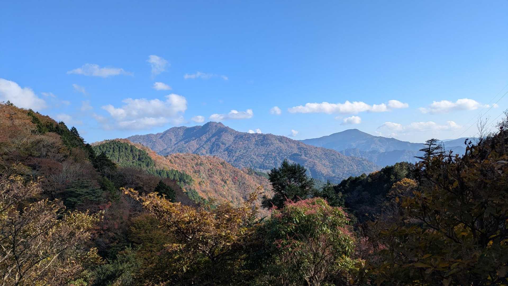 白髪トンネル南口登山口-大森山-佐々連尾山 往復コースの写真