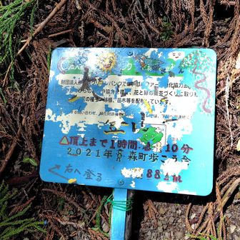 ここの登山口の取りつきも見落としそうです……「右へ登る」の指示に従う。