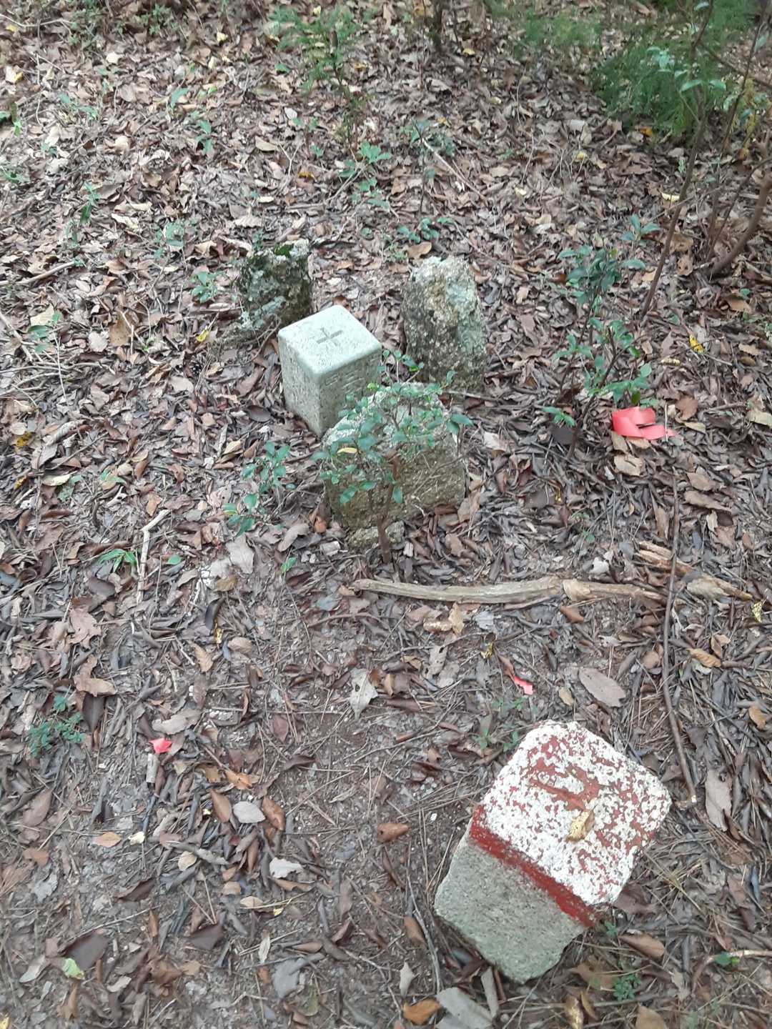 大成山