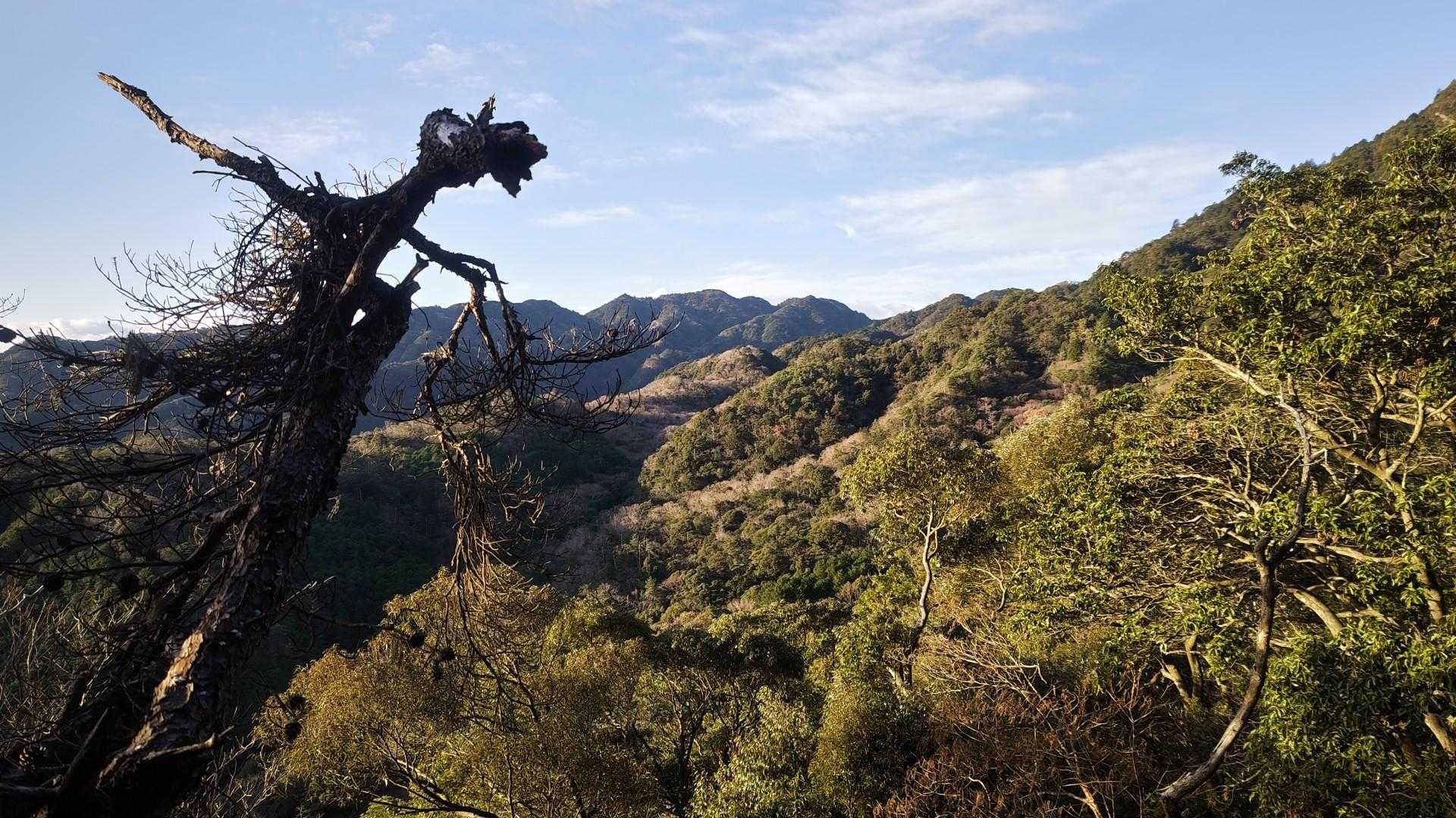 鬼ヶ牙登山道入口-鬼ヶ牙 往復コースの写真