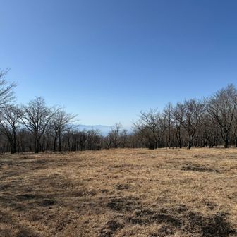 国観峠。ひろーーーい！