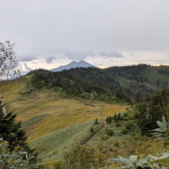 💯燧ヶ岳・至仏山・会津駒ヶ岳／尾瀬縦走 / けんさんの会津駒ヶ岳の