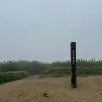 いい眺め