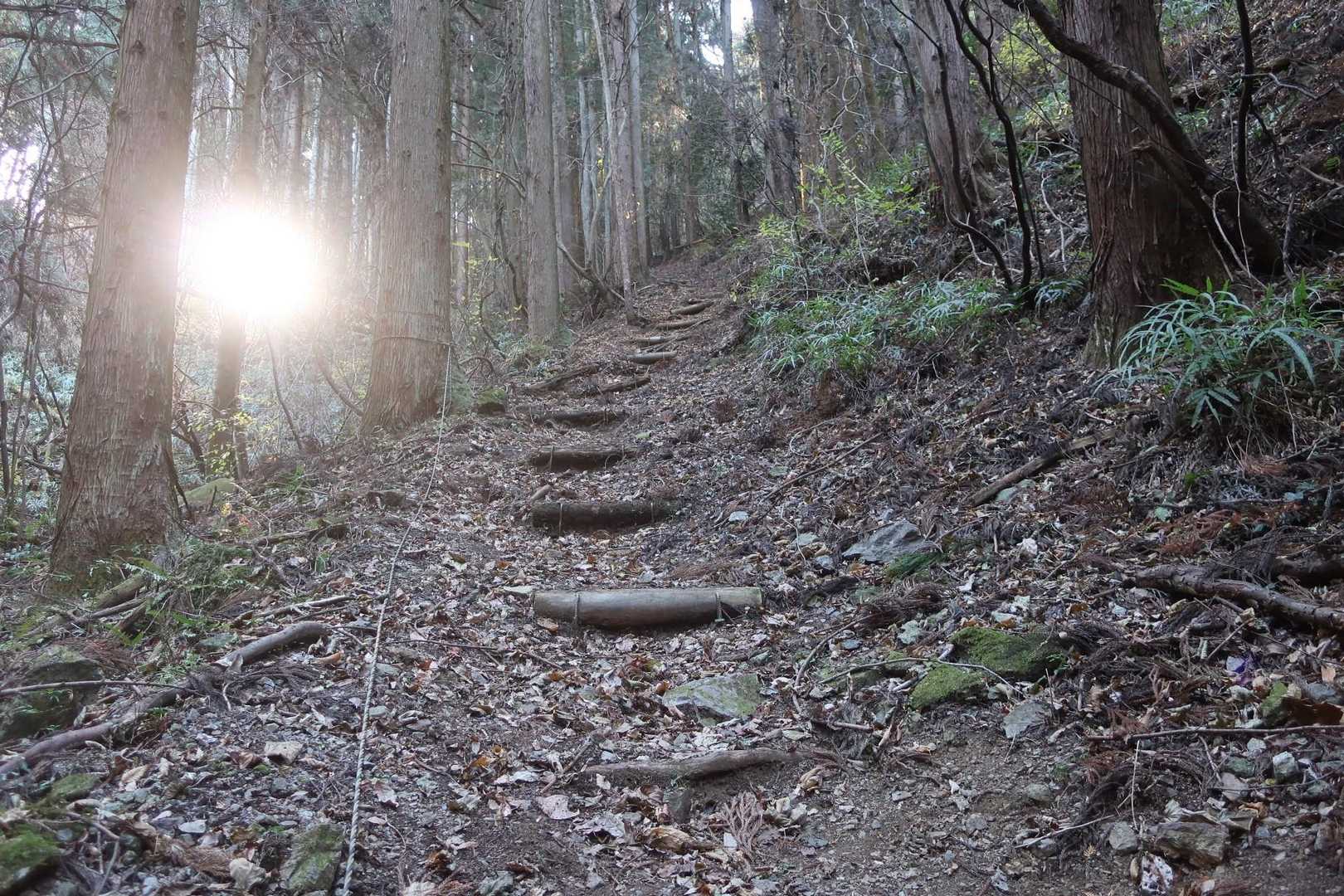 なかなか素敵な落ち葉の下り