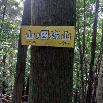 山ノ田城山着　四季の風さん ありがとうございます🙏
ニューピーク ゲットできて このまま引き返しても良かったのですが 、 それではあまりにも寂しいので 久しぶりに 雲取山へ🚶